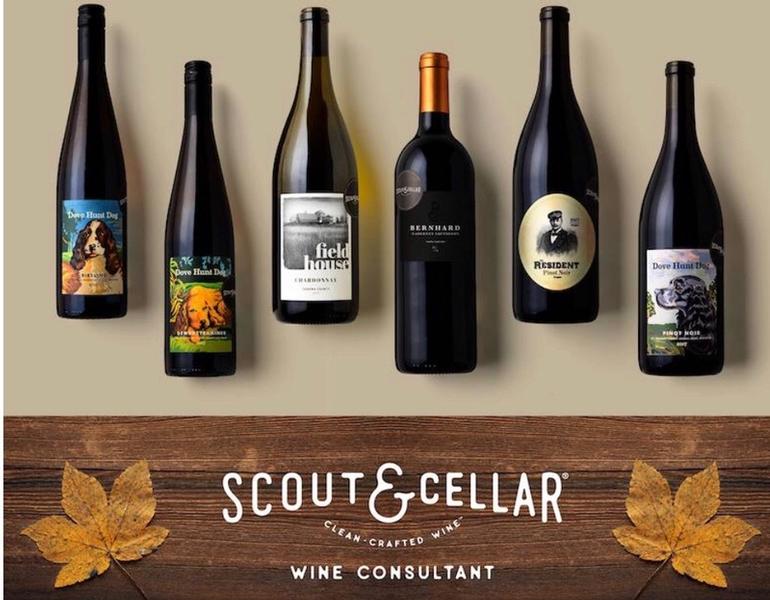 scout and cellar