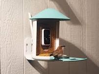 Birdfy Camera Feeder 202//151