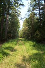 Private Tour of Damuth Bird Sanctuary 187//280