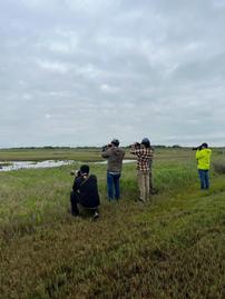 Shorebirds of the Upper Texas Coast with Houston Audubon's Conservation Specialist 202//269